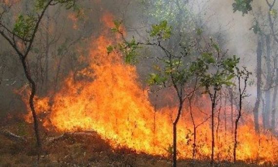 Προς Πάρνηθα κινείται η πύρινη λαίλαπα που κατακαίει τα Δερβενοχώρια