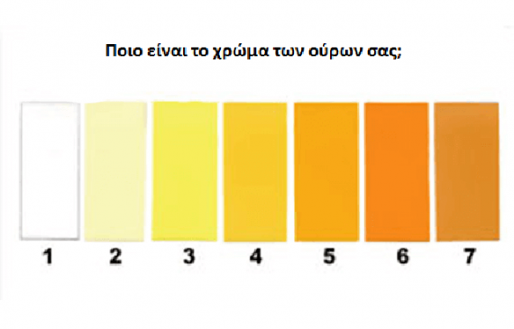 8 τύποι ούρων και η υγεία μας