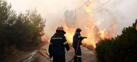 Πού και πώς μπορούμε να βοηθήσουμε τους πληγέντες απ’ τις πυρκαγιές