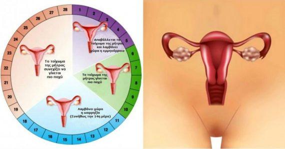 Γυναίκες Μεγάλη Προσοχή! Δείτε ΤΙ πρέπει να τρώτε στον Κύκλο της Περιόδου σας