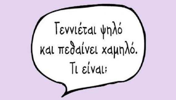 12 έξυπνοι γρίφοι για έξυπνα παιδιά αλλά και για μεγάλους