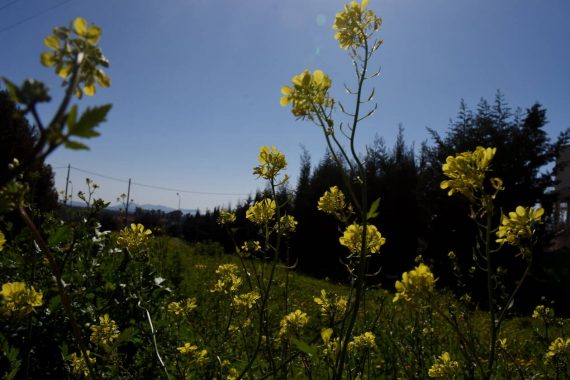 Εαρινή Ισημερία: Σήμερα η πρώτη μέρα της Άνοιξης με υπερπανσέληνο