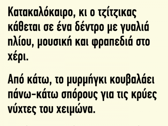 Ανέκδοτο-Κατακαλόκαιρο ένας τζίτζικας κάθεται σε ένα δέντρο με γυαλιά ηλίου...