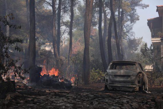 Σταμάτα: Οι καταστροφές που άφησε πίσω της η φωτιά