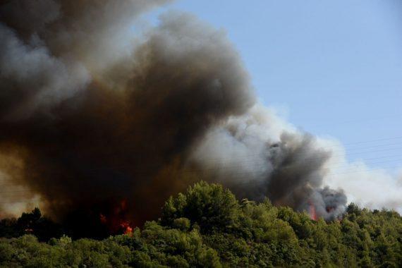 Φωτια στη Βαρυμπόμπη: Έκλεισε η Εθνική προς Λαμία- Εκκενώνονται ο Άγιος Στέφανος και βιομηχανίες