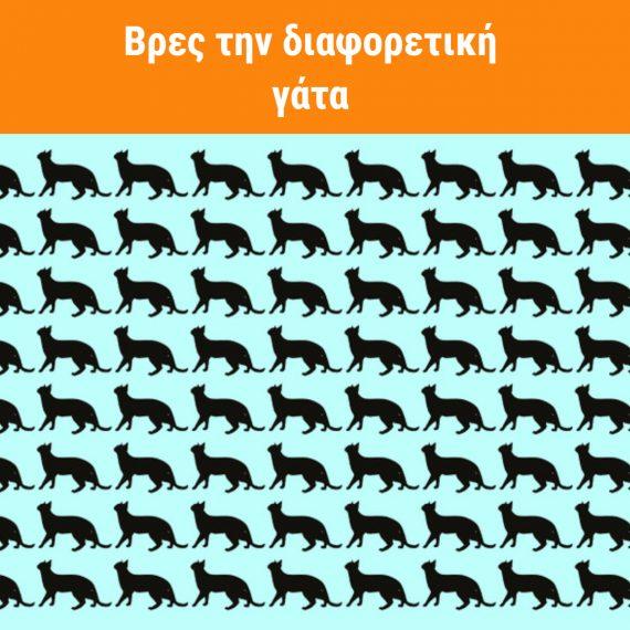 13-τεστ παρατηρητικότητας-για-να-τσεκάρετε-την-όρασή-σας-