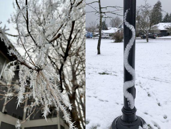 εικόνες-που-δείχνουν-ότι-η-φύση-κάνει-θαύματα-τον-Χειμώνα-