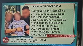 Πάτρα : Καταρρακωμένη ψυχολογικά η γιαγιά των τριών παιδιών – Η νέα σοκαριστική μαρτυρία