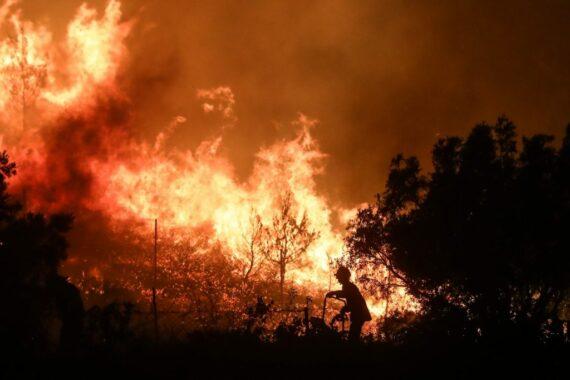 Φωτιά-Ντράφι: H διάσωση μεγαλόσωμου σκύλου από πυροσβέστη εθελοντή συγκινεί