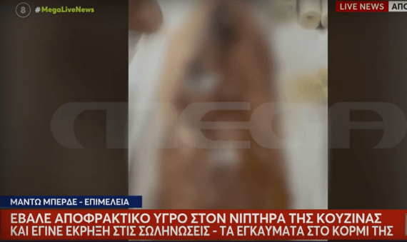 Τεράστια έκρηξη σε νεροχύτη απο αποφρακτικό -Σοβαρός τραυματισμός γυναίκας – Από θαύμα γλύτωσαν τα δυο της παιδιά