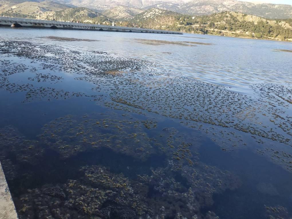 σημάδια-ότι-η-θάλασσα-είναι-βρώμικη-