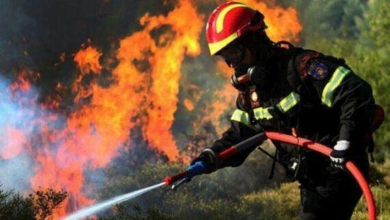 Σοκαριστική δήλωση του εμπρηστή στη Μεσσηνία :  «Με εξιτάρει να βλέπω τις ρίψεις από τα εναέρια»