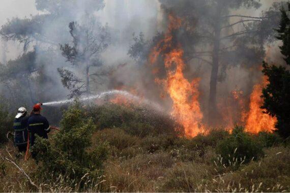 Φωτιές Ελλάδα :  Σκόπια και Κατάρ ετοιμάζονται να στείλουν βοήθεια στην Ελλάδα