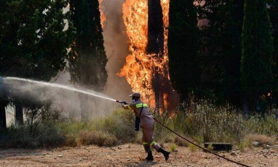 Φωτιά  Κέρκυρα: Είναι βέβαιος ο εμπρησμός – Τι καταγγέλλει ο υπεύθυνος Πολιτικής Προστασίας