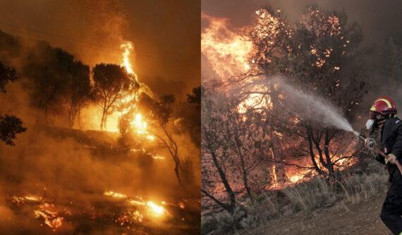 Πυρκαγιές :  Πυκνοί καπνοί κάλυψαν την Ακρόπολη – Μυρωδιά καμένου σε όλη την Αθήνα – Πως να προστατευθείτε