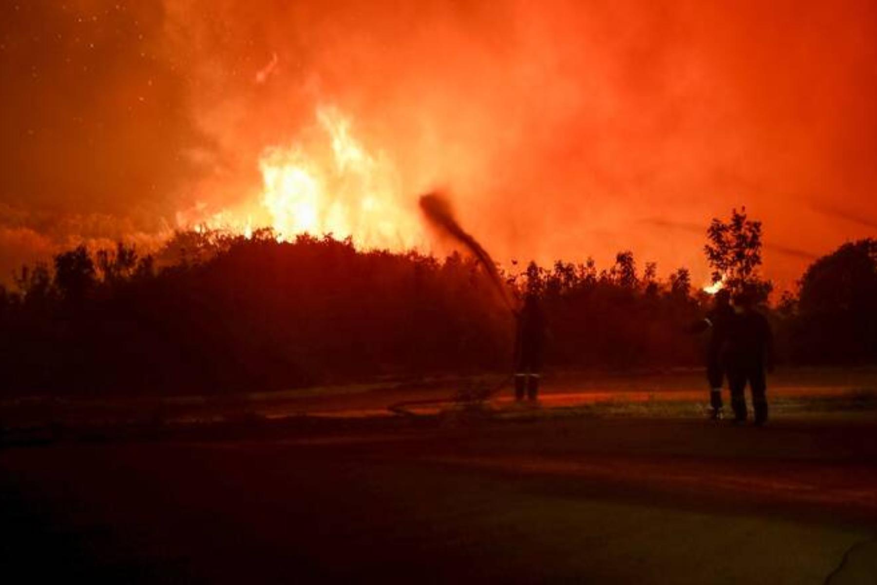 Φωτιά στον Έβρο: Ελεύθεροι οι 4 από τους 13 συλληφθέντες