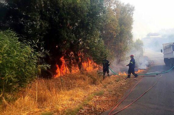 Διόνυσος :  Δύο συλλήψεις για εμπρησμό από πρόθεση