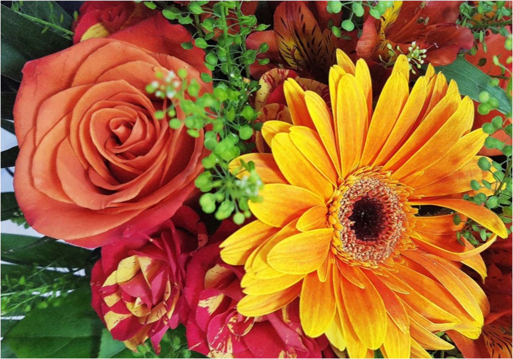 Τεστ προσωπικότητας: Ποιο είναι το γενέθλιο λουλούδι σου και τι αποκαλύπτει για την προσωπικότητά σου
