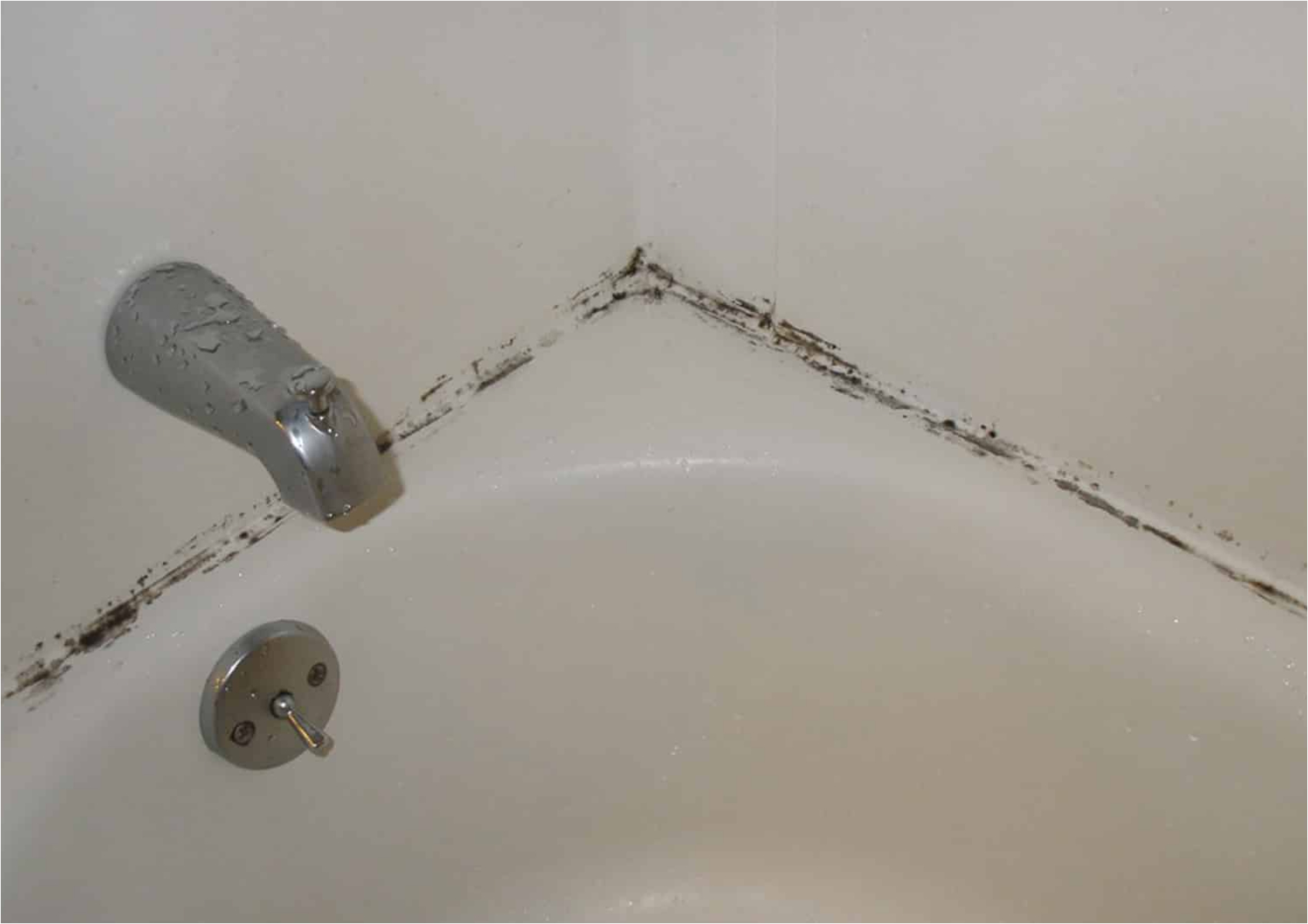 Μούχλα στο μπάνιο: Η σπιτική πάστα από τσόφλια αυγού και οδοντόκρεμα που θα την εξαφανίσει