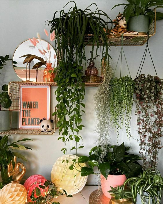 ιδέες-διακόσμησης-με-φυτά-εσωτερικού χώρου-Καλοκαίρι 2024-