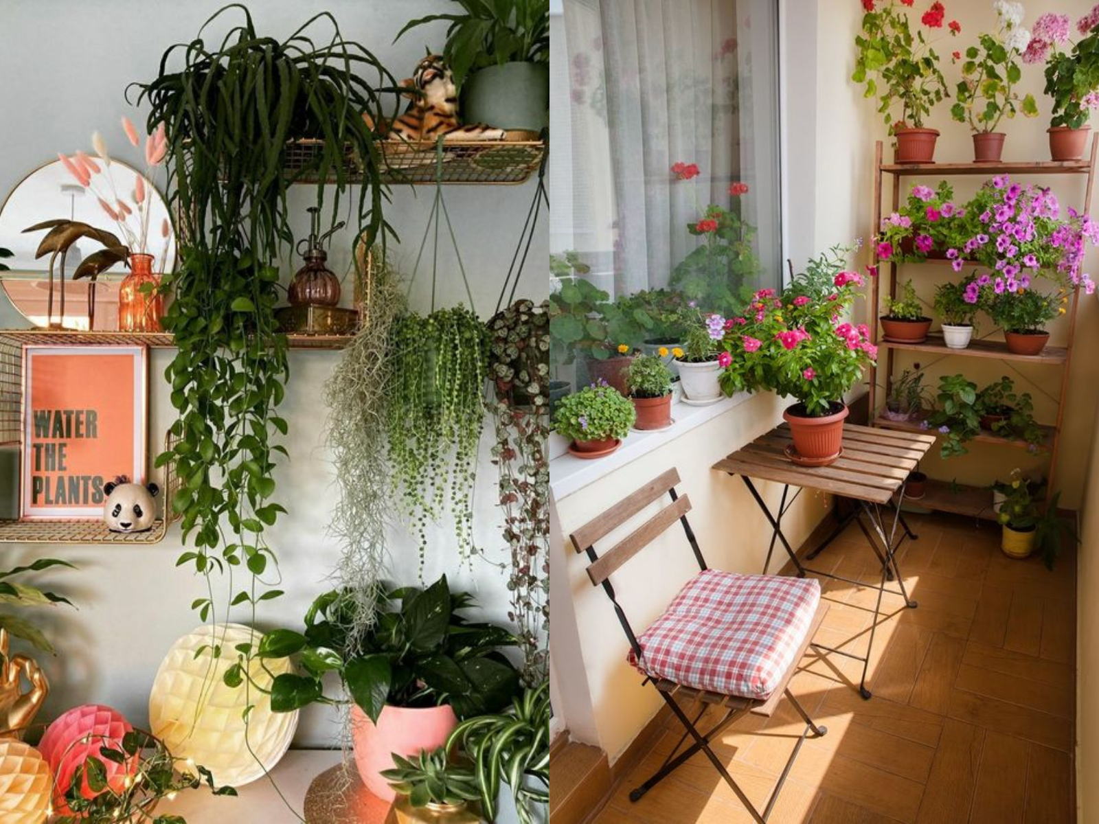 ιδέες-διακόσμησης-με-φυτά-εσωτερικού χώρου-Καλοκαίρι 2024-