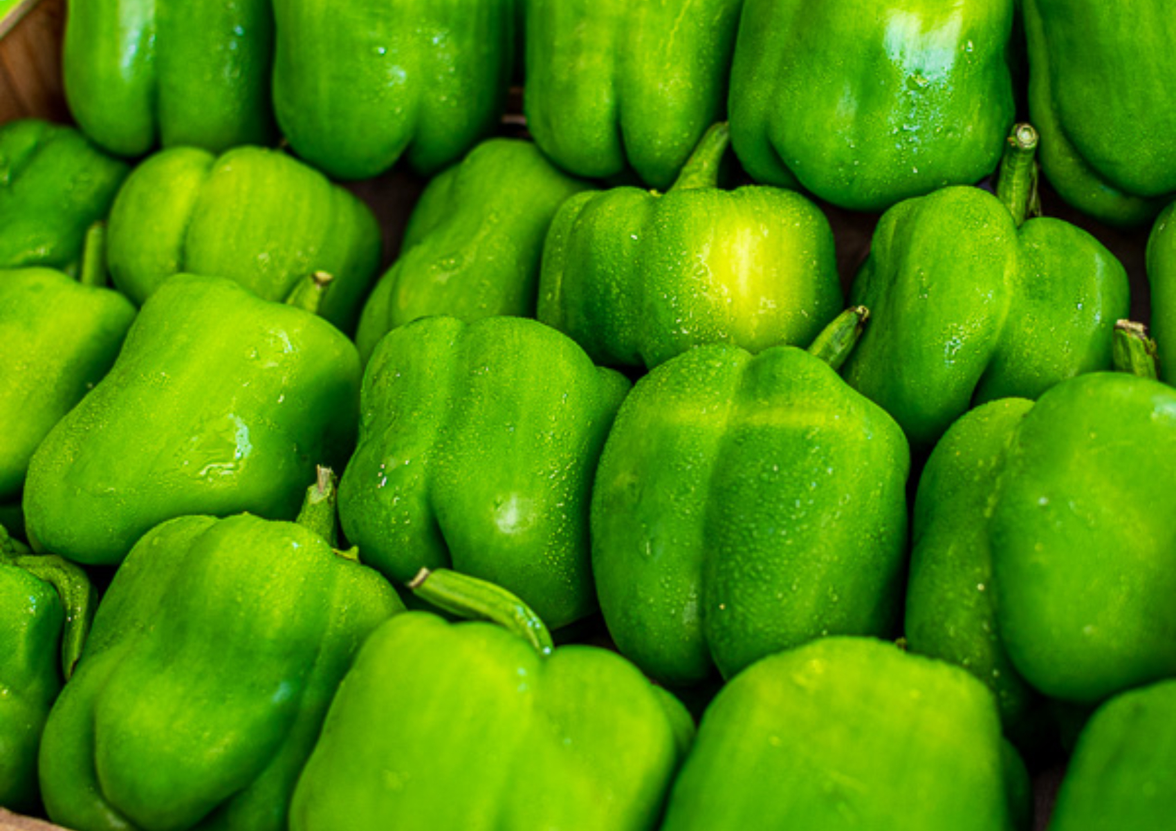 Πράσινη πιπεριά: Η διατροφική αξία της και πως βοηθάει τον οργανισμό