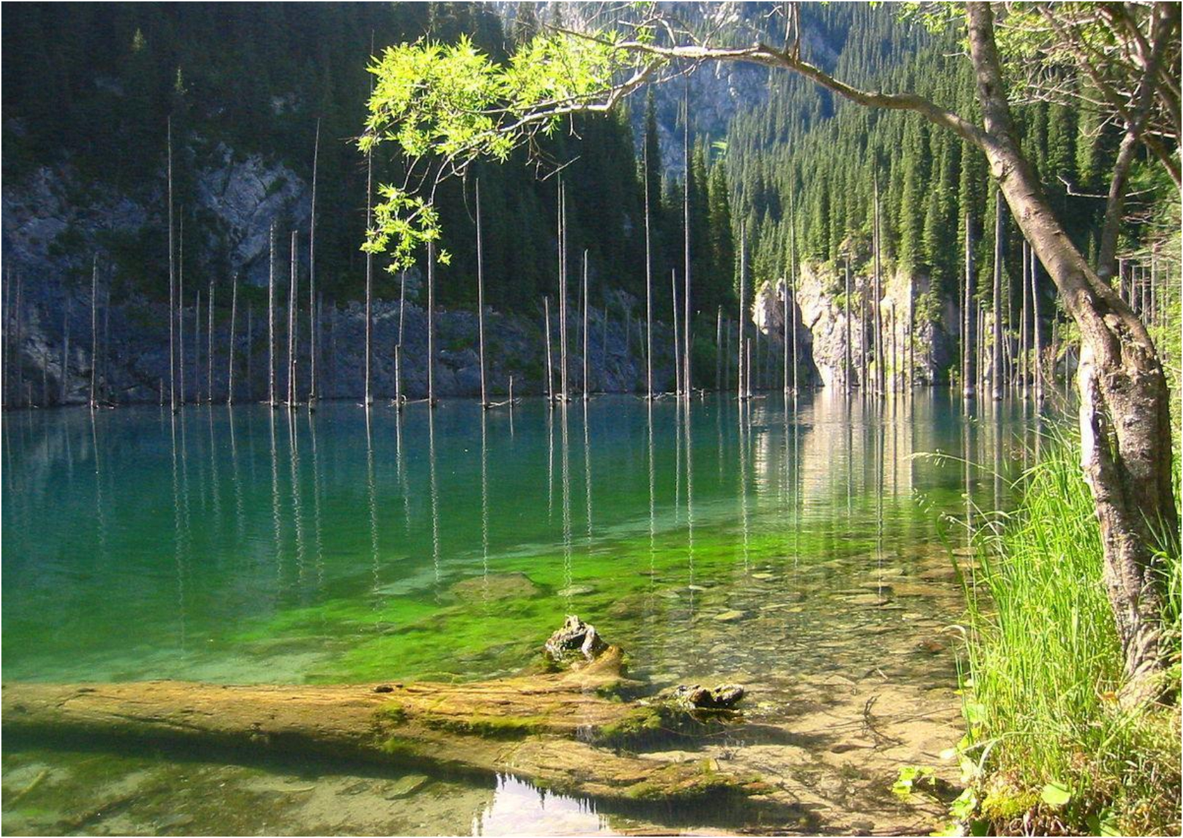 Villa Traful:  Το βυθισμένο δάσος στην Kaindy Lake που μοιάζει βγαλμένο από παραμύθι