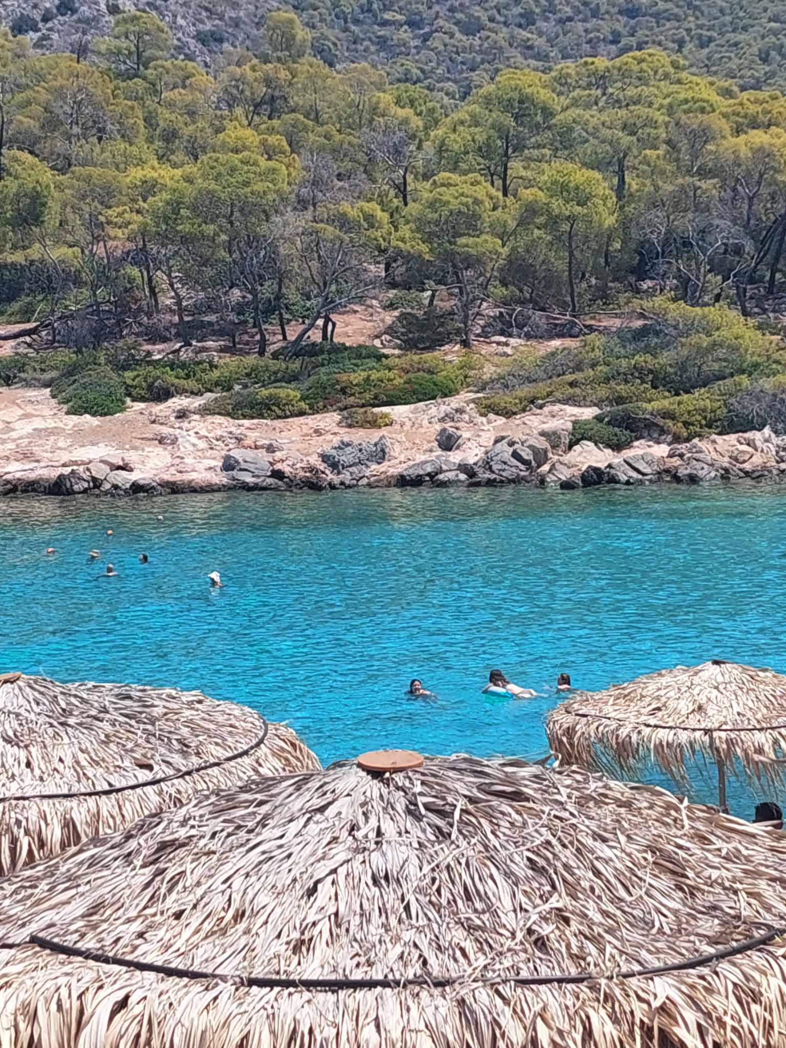 Αγκίστρι-Αργοσαρωνικός-πληροφορίες για τιμές-για-Απόνησο-για-δρομολόγια-