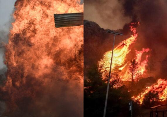 Φωτιά Αττική: Εικόνες αποκάλυψης- Σπίτια έχουν τυλιχτεί στις φλόγες – Απόκοσμος μαύρος καπνός (βίντεο)