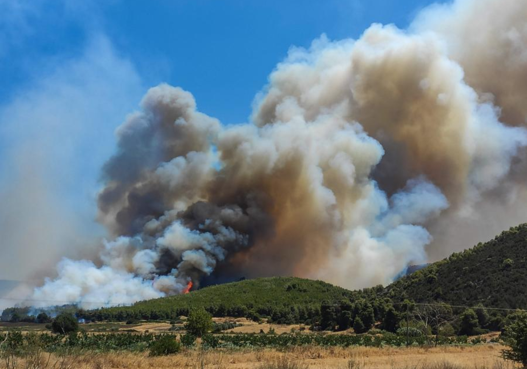 Φωτιά στην Εύβοια: Συναγερμός στην πυροσβεστική 