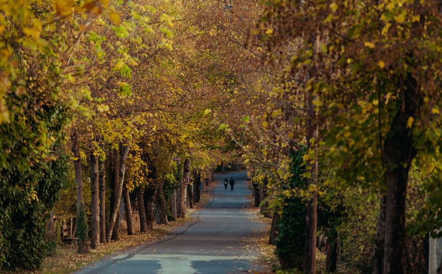 Στεμνίτσα-Δημητσάνα-Βυτίνα-Οι-πιο-γραφικοί-προορισμοί-για-Φθινοπωρινά-weekends