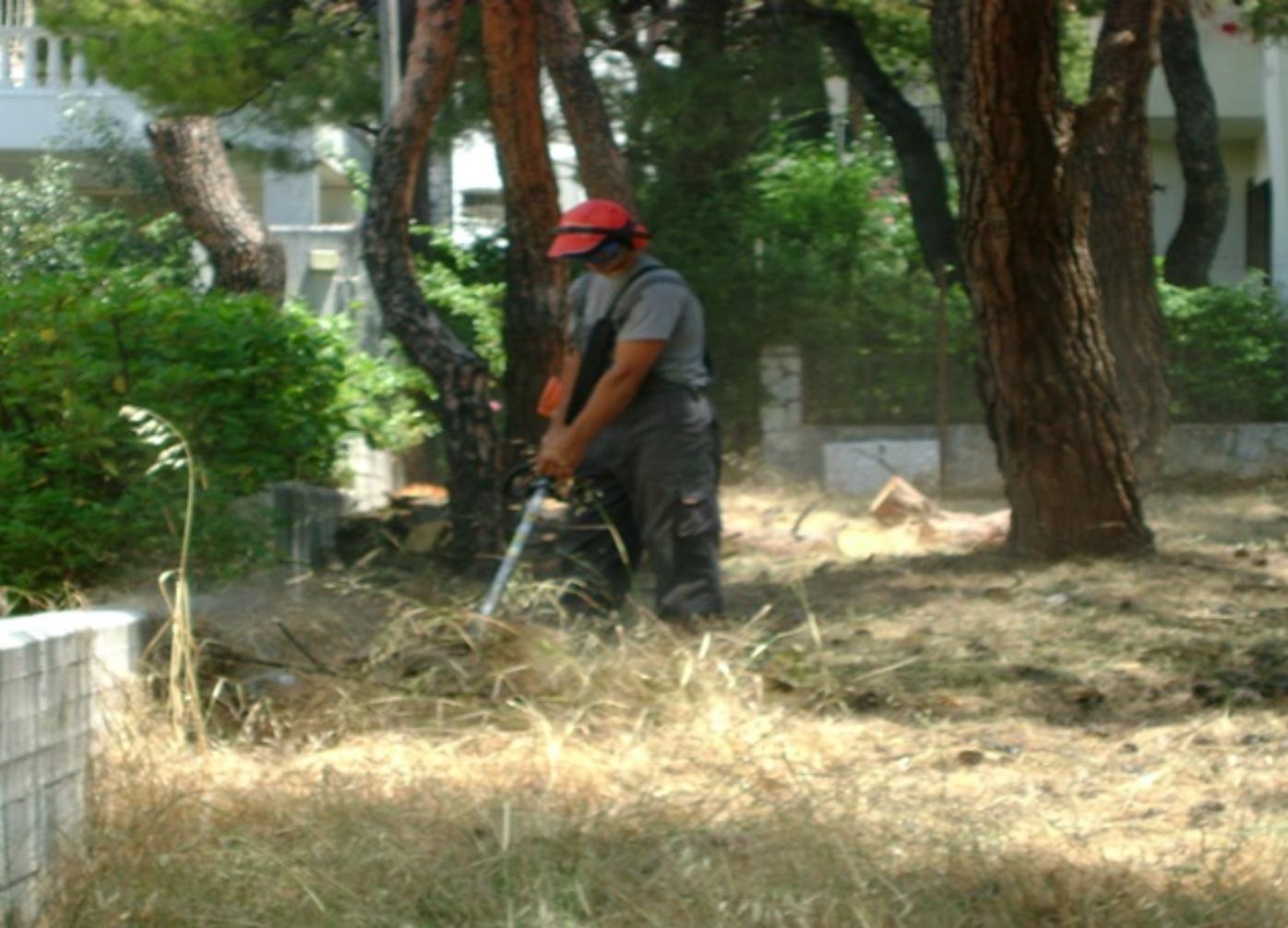 Τρόποι-να-περιποιηθείτε-τον-κήπο-σας-την-περίοδο-του-Φθινοπώρου