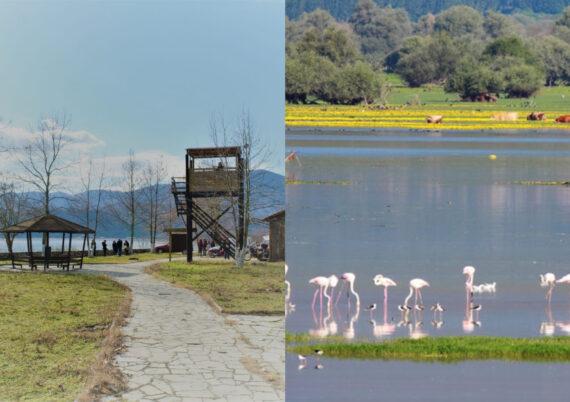 Λίμνη Κερκίνη: Φθινοπωρινή απόδραση στον παραμυθένιο υδροβιότοπο των Σερρών 