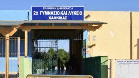 Χαλκίδα : Ξυλοδαρμός από Ρομά σε Μαθητή Λυκείου -Το παιδί λιποθύμησε