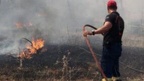 Ανεξέλεγκτη η φωτιά στη Φθιώτιδα