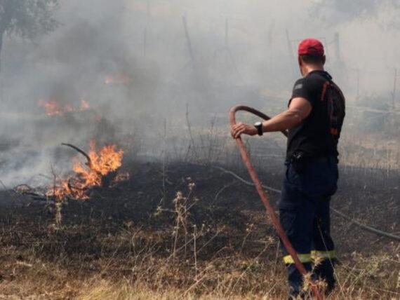 Ανεξέλεγκτη η φωτιά στη Φθιώτιδα