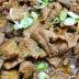 Mongolian Beef-συνταγή-